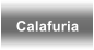 Calafuria